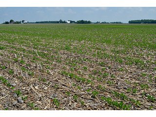 Property photo 95 - LAND AUCTION - 700+/- ACRES OFFERED IN 16 TRACTS IN ALLEN COUNTY, INDIANA